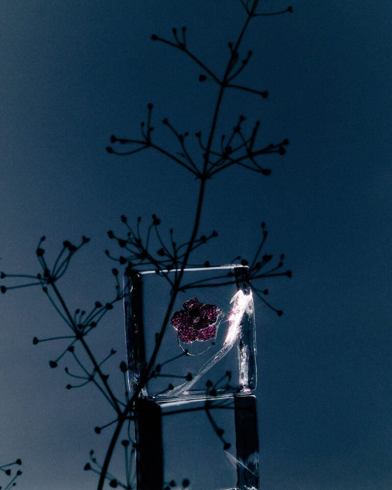 Flower shaped piece of jewellery inside ice block