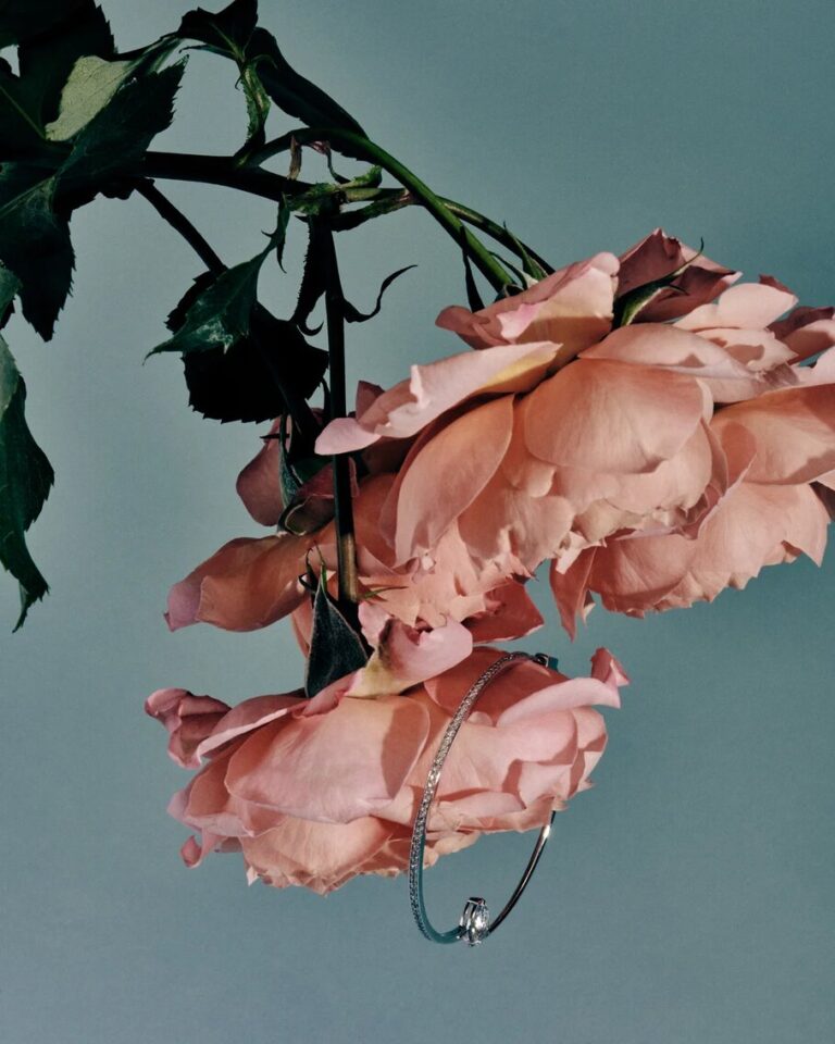 Nude Jewelry. Piece of jewellery on a pink rose.