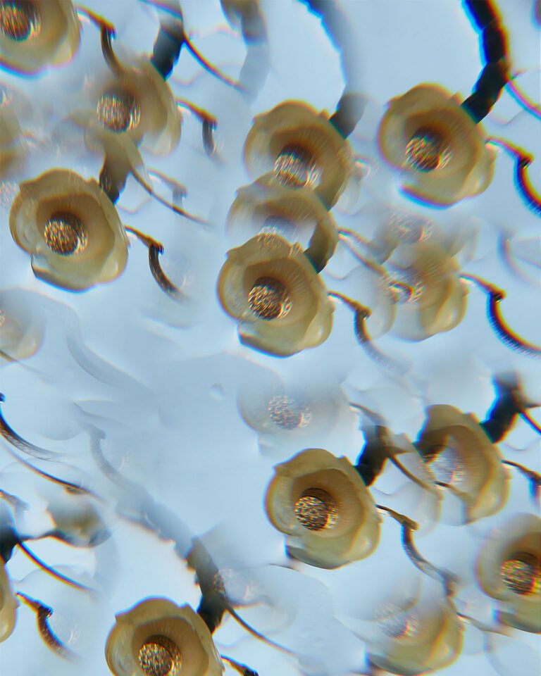 Multiple exposure photograph of a flower shaped earring